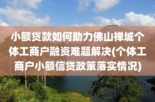 小额贷款如何助力佛山禅城个体工商户融资难题解决(个体工商户小额信贷政策落实情况)