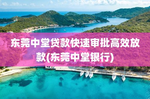 东莞中堂贷款快速审批高效放款(东莞中堂银行)