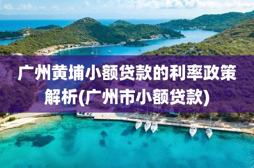 广州黄埔小额贷款的利率政策解析(广州市小额贷款)