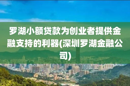 罗湖小额贷款为创业者提供金融支持的利器(深圳罗湖金融公司)