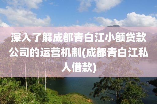 深入了解成都青白江小额贷款公司的运营机制(成都青白江私人借款)