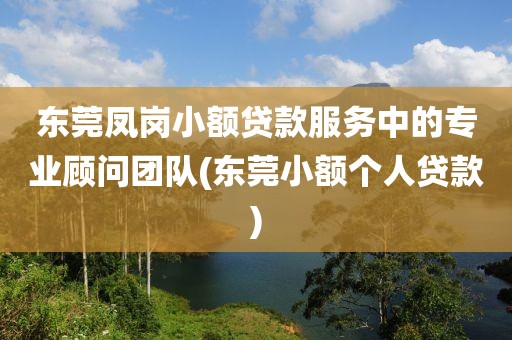 东莞凤岗小额贷款服务中的专业顾问团队(东莞小额个人贷款)