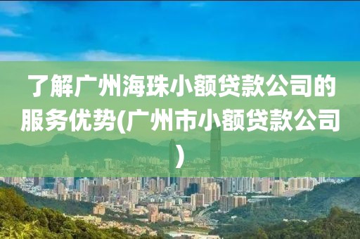 了解广州海珠小额贷款公司的服务优势(广州市小额贷款公司)