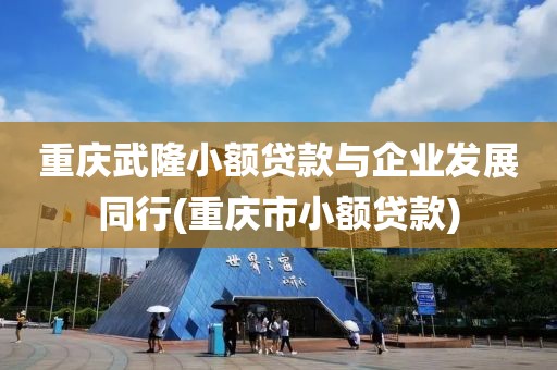 重庆武隆小额贷款与企业发展同行(重庆市小额贷款)