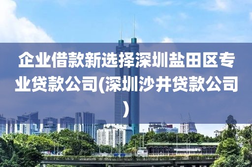 企业借款新选择深圳盐田区专业贷款公司(深圳沙井贷款公司)