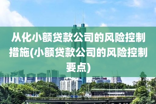 从化小额贷款公司的风险控制措施(小额贷款公司的风险控制要点)