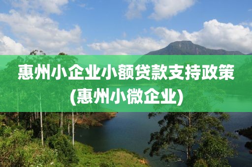 惠州小企业小额贷款支持政策(惠州小微企业)