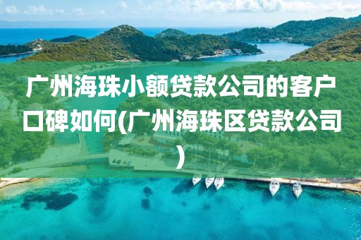 广州海珠小额贷款公司的客户口碑如何(广州海珠区贷款公司)