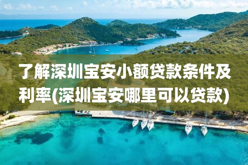 了解深圳宝安小额贷款条件及利率(深圳宝安哪里可以贷款)