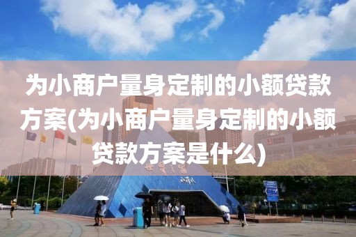 为小商户量身定制的小额贷款方案(为小商户量身定制的小额贷款方案是什么)