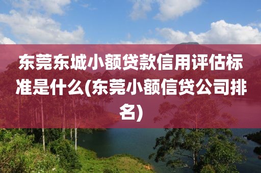 东莞东城小额贷款信用评估标准是什么(东莞小额信贷公司排名)