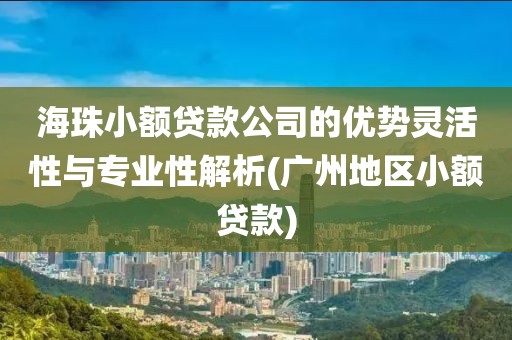 海珠小额贷款公司的优势灵活性与专业性解析(广州地区小额贷款)