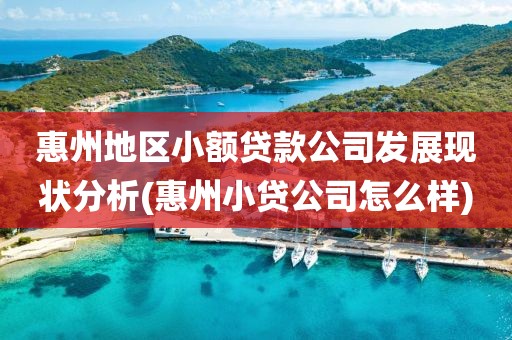 惠州地区小额贷款公司发展现状分析(惠州小贷公司怎么样)