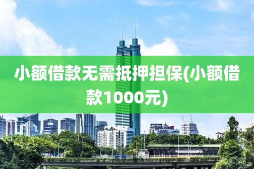 小额借款无需抵押担保(小额借款1000元)