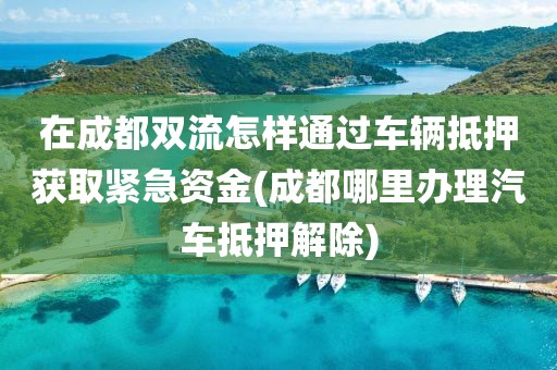 在成都双流怎样通过车辆抵押获取紧急资金(成都哪里办理汽车抵押解除)