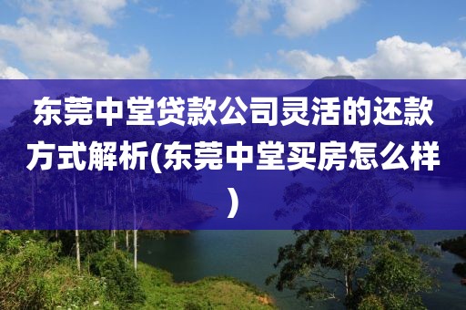 东莞中堂贷款公司灵活的还款方式解析(东莞中堂买房怎么样)