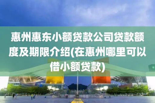 惠州惠东小额贷款公司贷款额度及期限介绍(在惠州哪里可以借小额贷款)