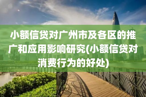 小额信贷对广州市及各区的推广和应用影响研究(小额信贷对消费行为的好处)