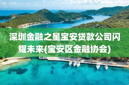 深圳金融之星宝安贷款公司闪耀未来(宝安区金融协会)